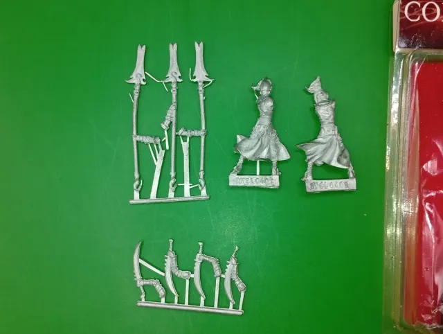 Warhammer Confrontation Schiavi Ofidiani