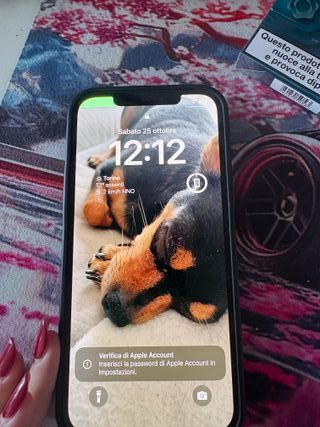 iPhone 12 Pro Max Oro