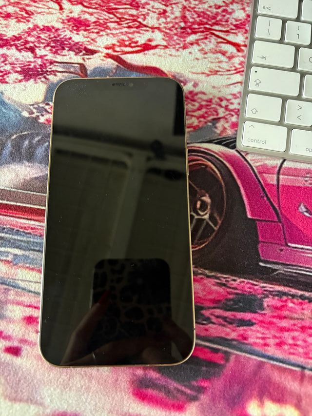 iPhone 12 Pro Max Oro