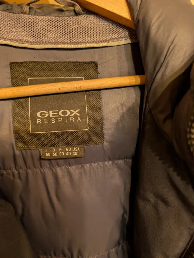 Chaqueta Geox acolchada azul marino