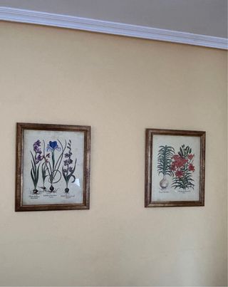 2 Láminas Flores Vintage Marco Dorado Madera