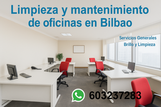 BRILLO Y LIMPIEZA EN TU PISO, OFICINA O PORTAL