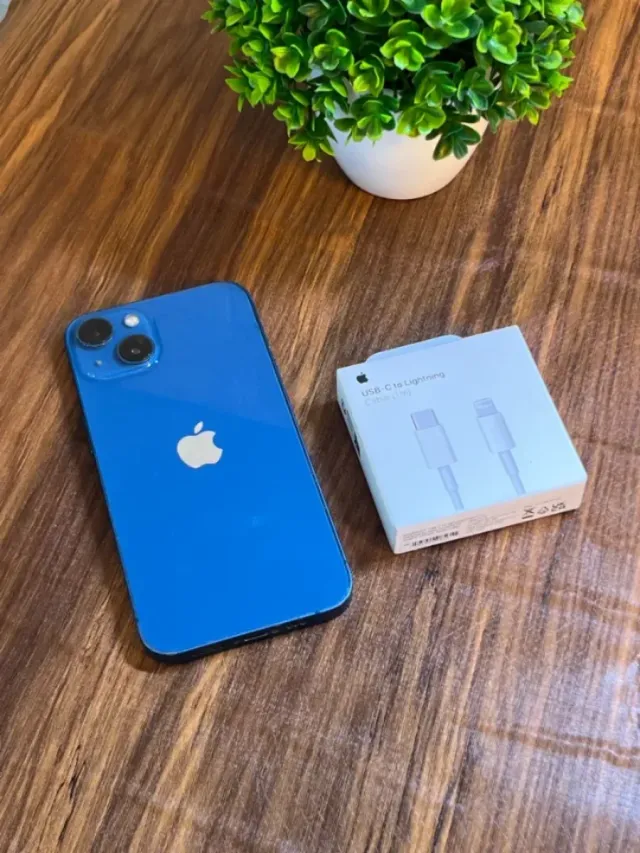 iPhone 13 256GB 100%