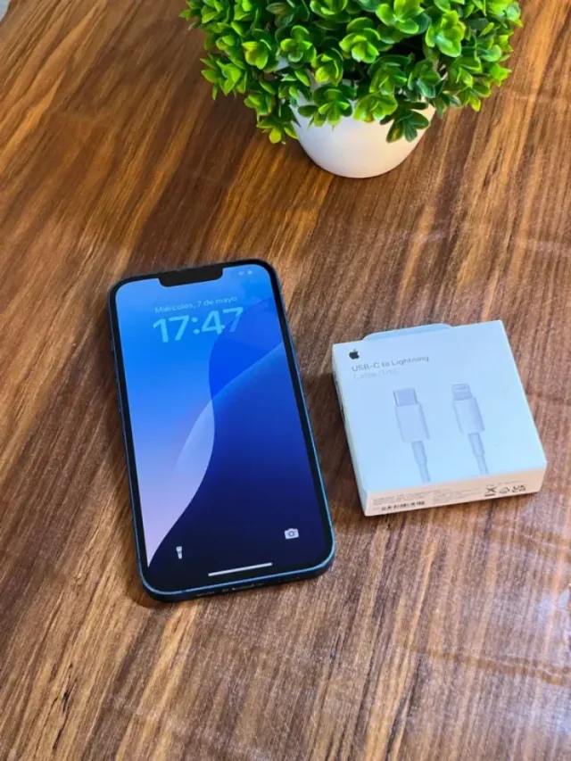 iPhone 13 256GB 100%