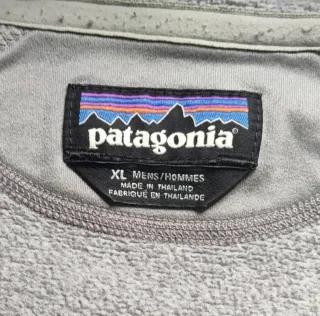 Felpa Patagonia con cappuccio grigia