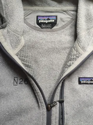 Felpa Patagonia con cappuccio grigia