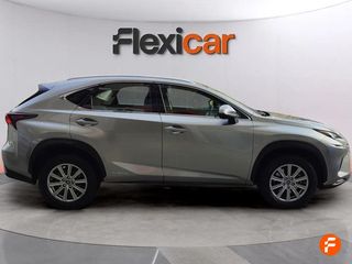 Lexus NX 2.5 300h Business 2WD