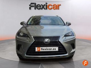 Lexus NX 2.5 300h Business 2WD