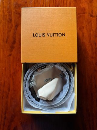Cintura Louis Vuitton Grigio/Argento