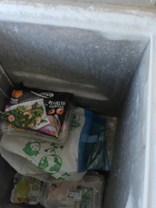 Arcón Congelador Blanco