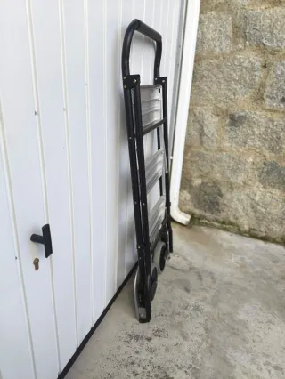 Carro Escalera Plegable Carga