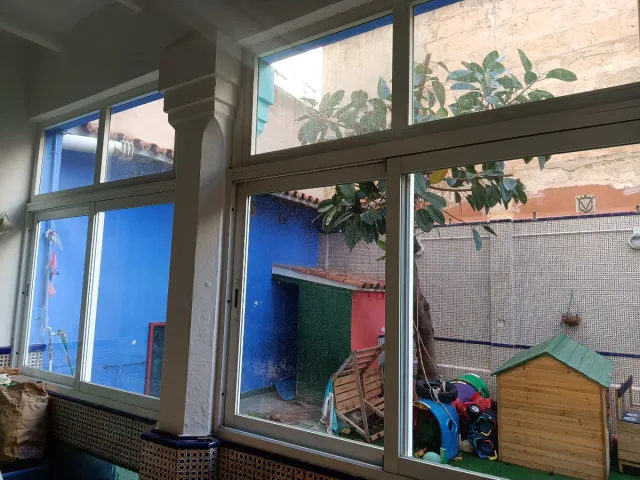 Ventanas cristal y puerta triple