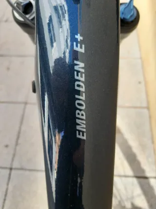 Bicicleta Eléctrica Liv Montaña