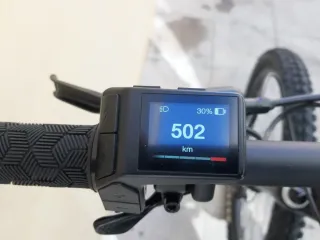 Bicicleta Eléctrica Liv Montaña