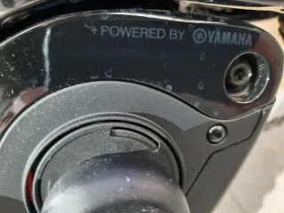 Bicicleta Eléctrica Liv Montaña