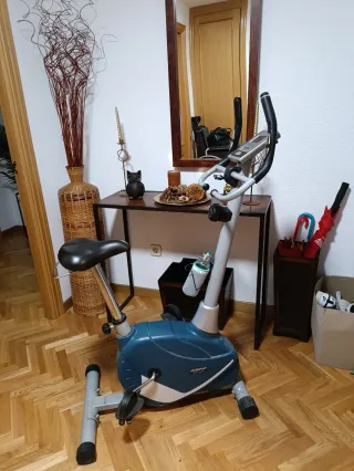 Bicicleta Estática BH