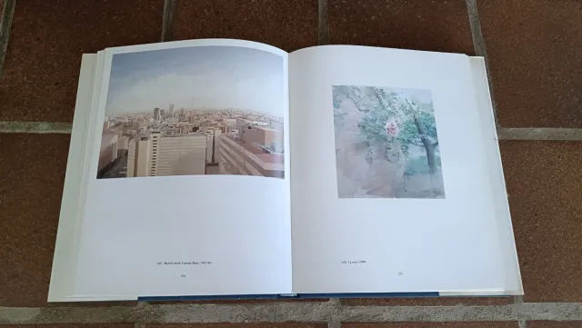 Libro Catálogo ANTONIO LÓPEZ Museo Reina Sofía 93