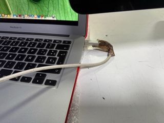 Monitor Apple 27 A1407 Negro/Plata