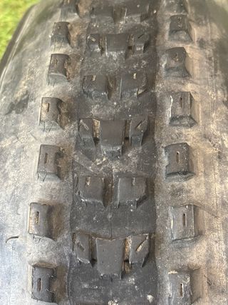 Cubierta Maxxis Dissector 29x2.40wt 3C Maxx Terra