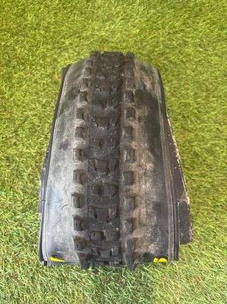 Cubierta Maxxis Dissector 29x2.40wt 3C Maxx Terra