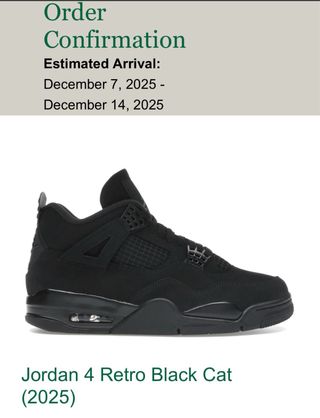Jordan 4 Black Cat (2025)