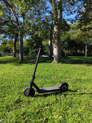 Patinete Eléctrico Xiaomi