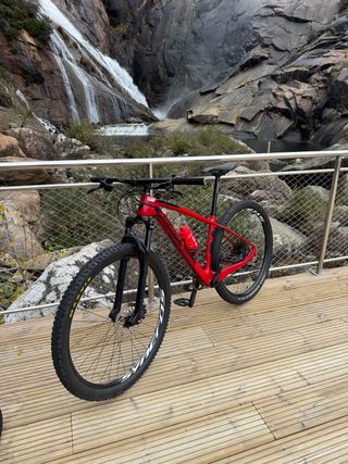 BERRIA BRAVO 29” CARBONO