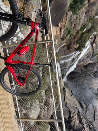 BERRIA BRAVO 29” CARBONO