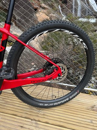 BERRIA BRAVO 29” CARBONO
