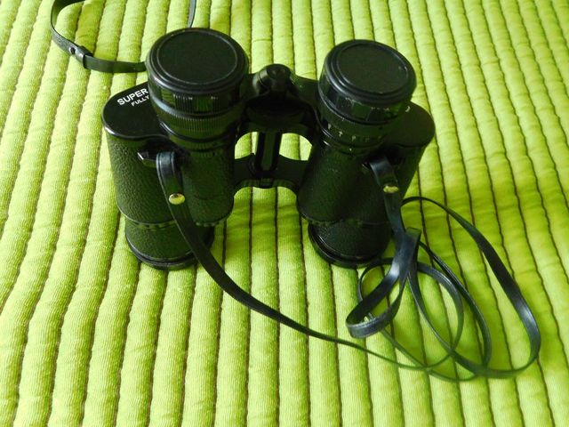 Prismatici Zenit 8x40 con custodia