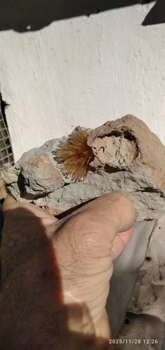 Aragonito mineral