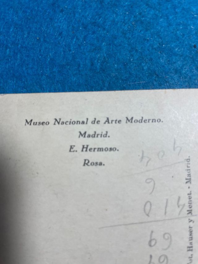 Eugenio Hermoso Rosa Museo Nazionale d'Arte Madrid