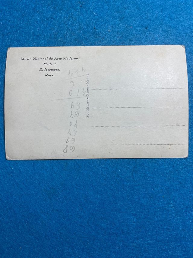 Eugenio Hermoso Rosa Museo Nazionale d'Arte Madrid