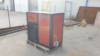 Caldaia biomassa,legna, pellet,sansa,ecc....