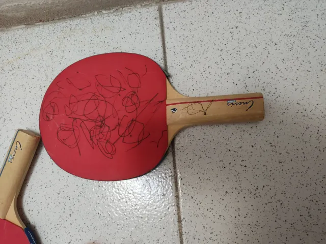 Racchette e palline da ping pong Inesis