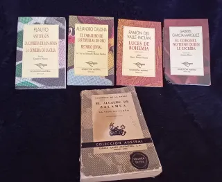 LOTE DE 22 LIBROS LITERATURA ESPAÑOLA