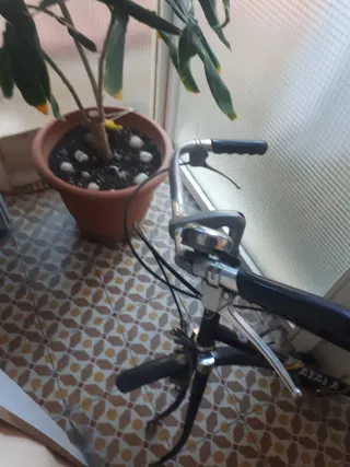 Cuadro y manillar bici clasica Atala