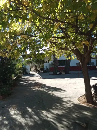 Alquiler de habitacion y cocina