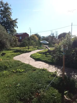 Alquiler de habitacion y cocina