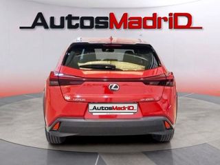 Lexus UX 2.0 250h Business