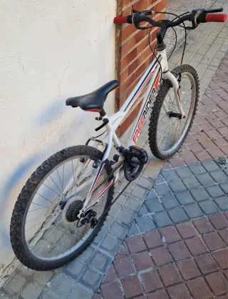 Bicicleta Montaña Rueda 24 Freerider