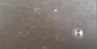 Lote 20 botones nacarados- 9 colores