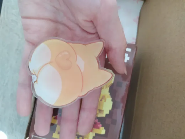 Pack Winnie the Pooh: Soporte móvil y coleteros.