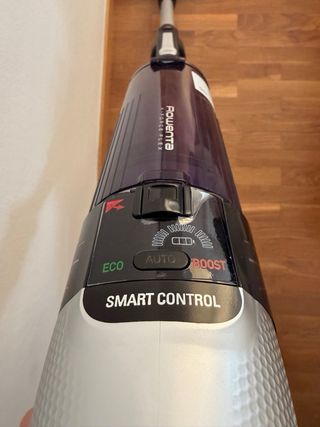 Aspiradora Rowenta X-Force Flex
