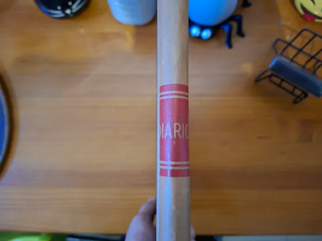 Libro di contabilità vintage DIARIO