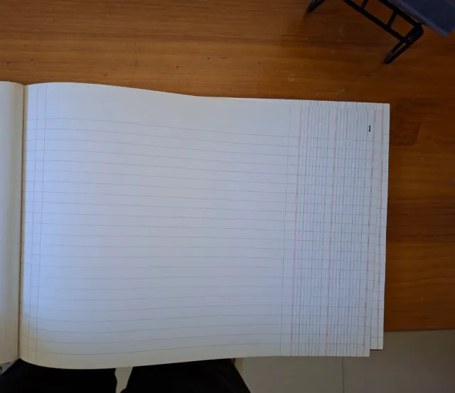 Libro di contabilità vintage DIARIO