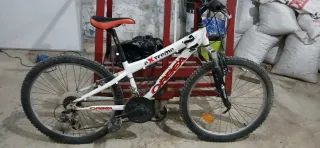 Bicicleta Orbea Extrem 24 Montaña