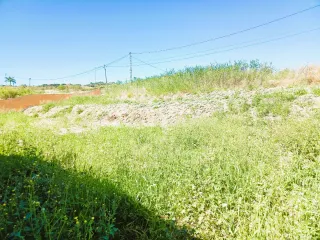 Parcela rústica con luz y agua