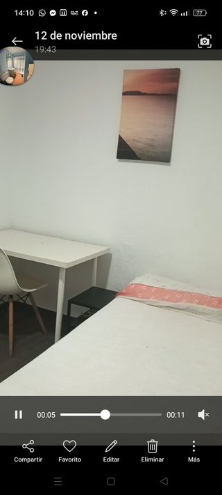 Habitación individual pajaritos