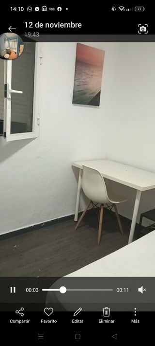 Habitación individual pajaritos